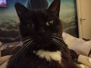 Lola