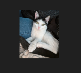 Nala
