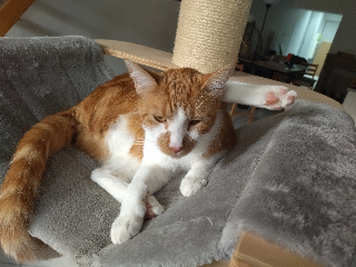 Gimli