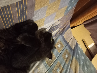 Milko