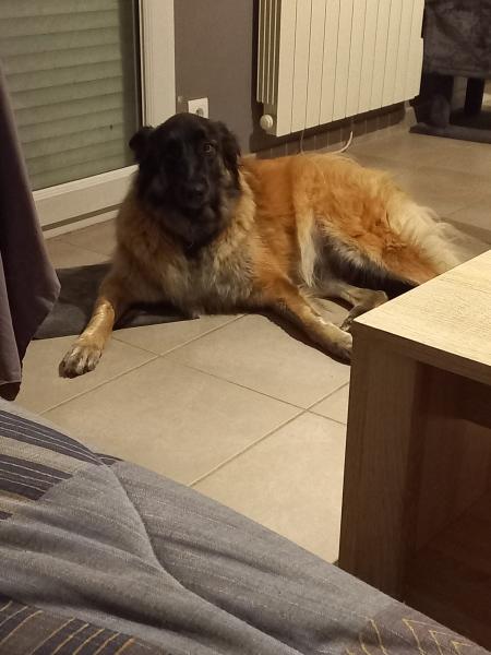 Taïlys