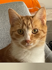 Winnie