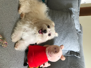 Zoe
