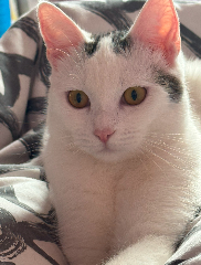 Lucie
