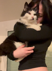 Dewey