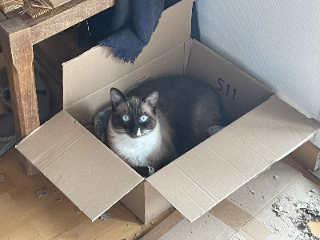 Sangria