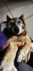 Kali