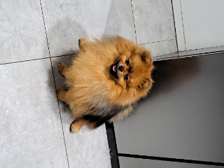 Uky
