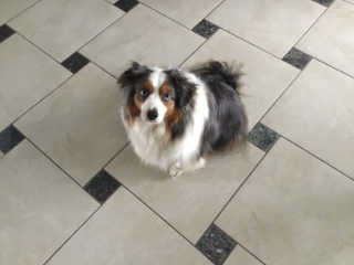 Bracko
