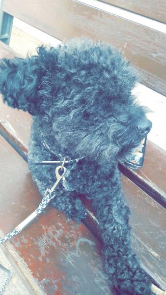Jack