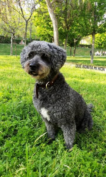 Shiloh