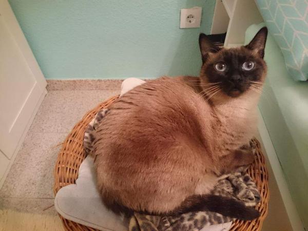 Hera