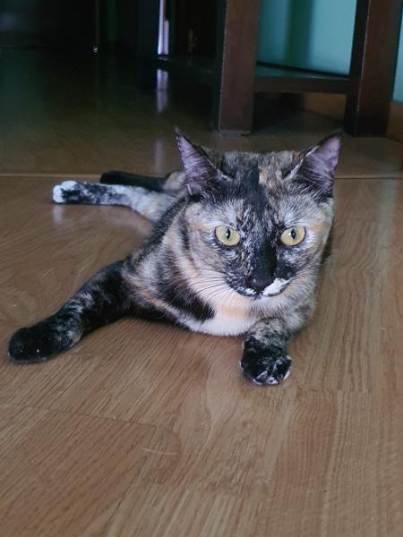 Lili