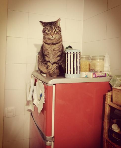 Oliver