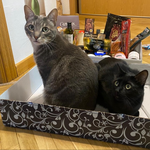 Photo de Tremendillo