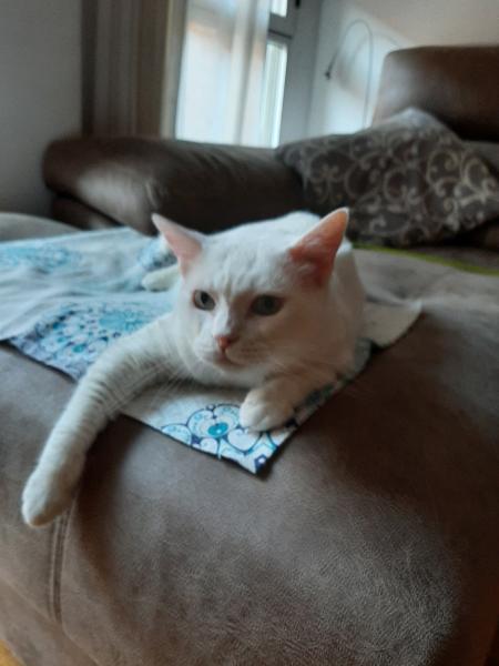 Photo de Belinda, Beli