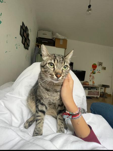 Romeo