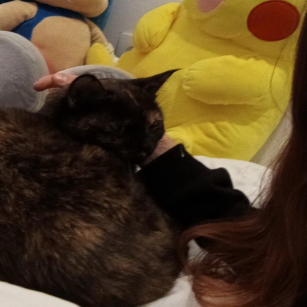 Mimi (mimou la plupart du temps)