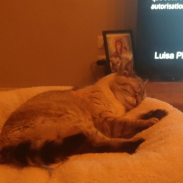 Nala