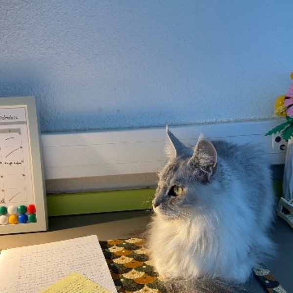 Vaya