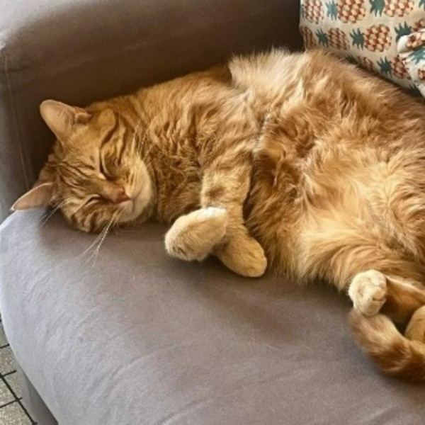 Bobby