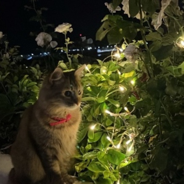Luna