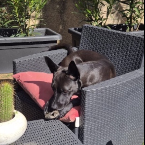 Roxie