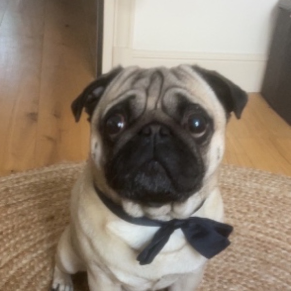 Oscar