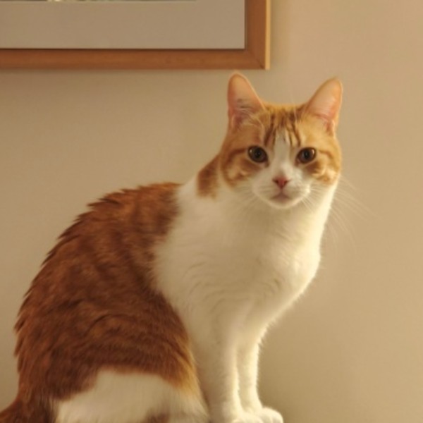 Esmera