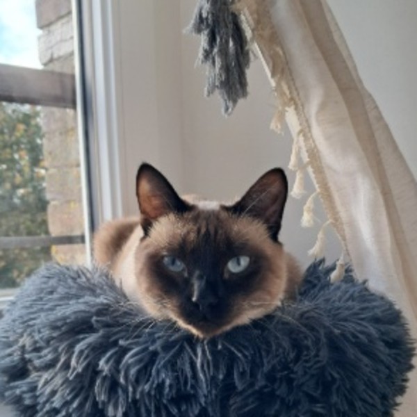 Nawak