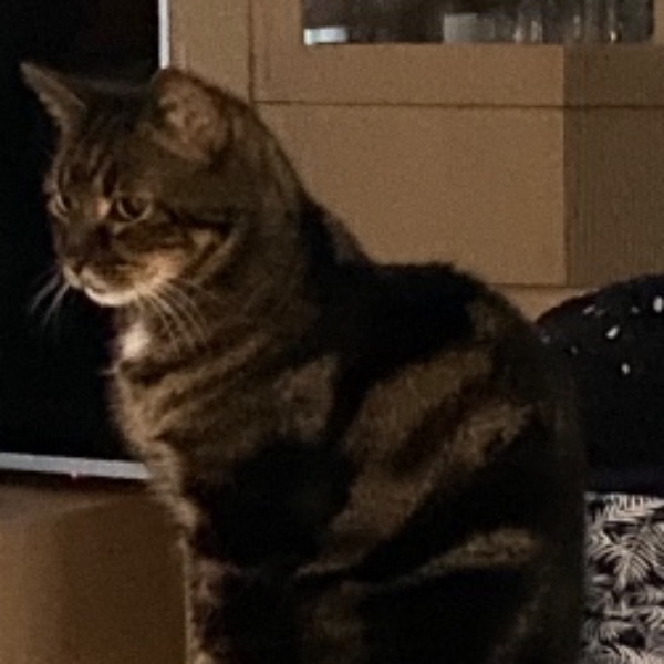 Max