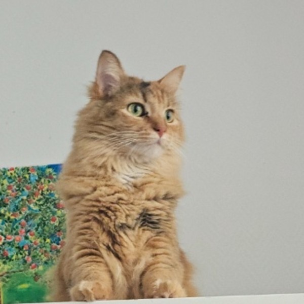 Luna