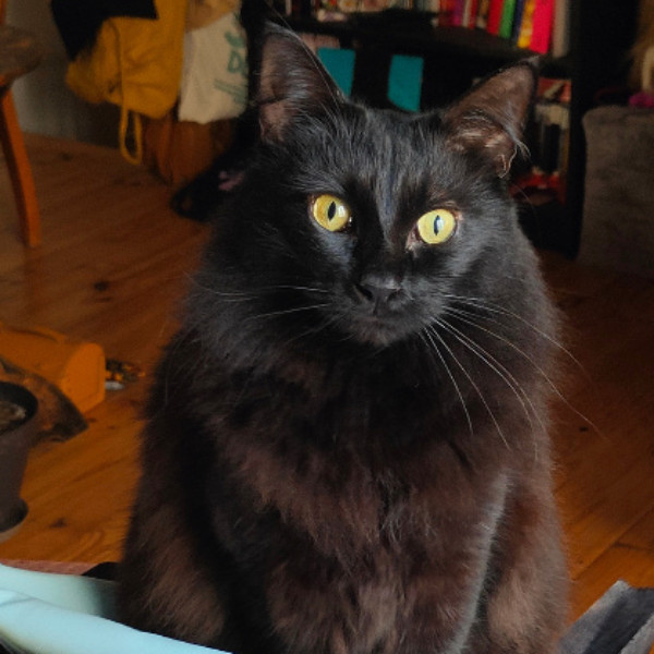Ukko