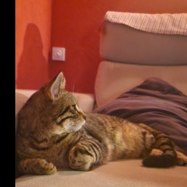 Leo
