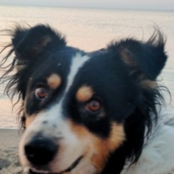 Samy