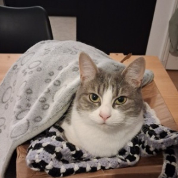 Sophie