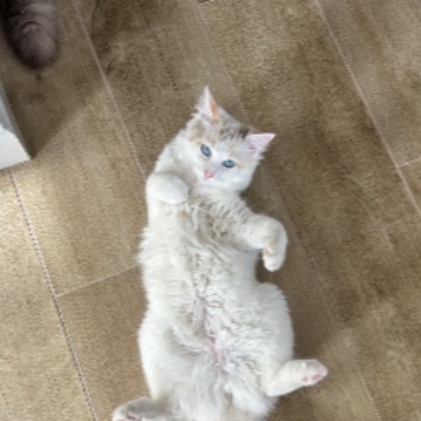 Alaska