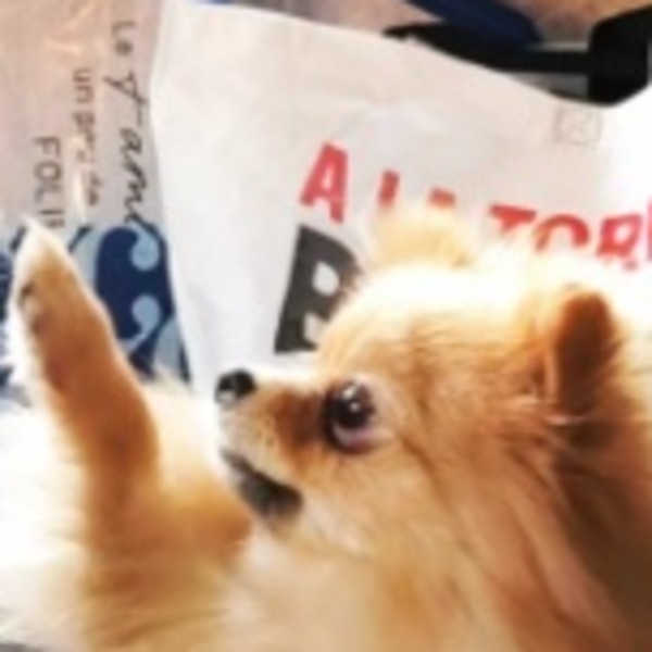 Myla