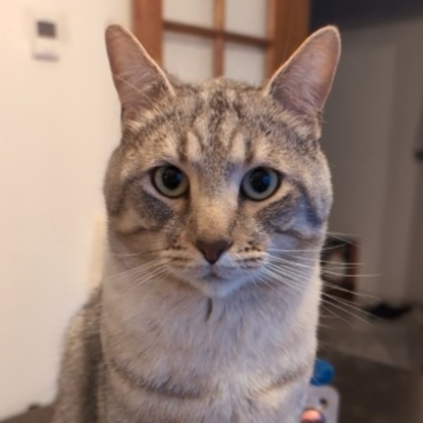 Charlie