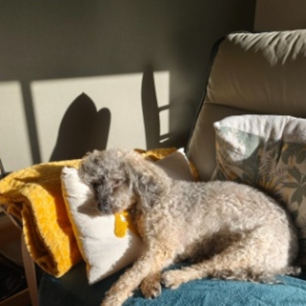 Lila