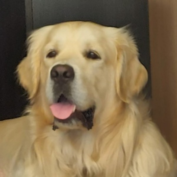TANGO