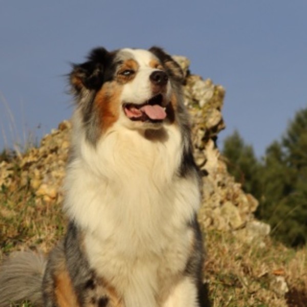 Oby