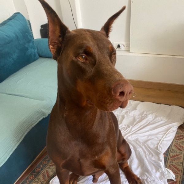 Ragnar