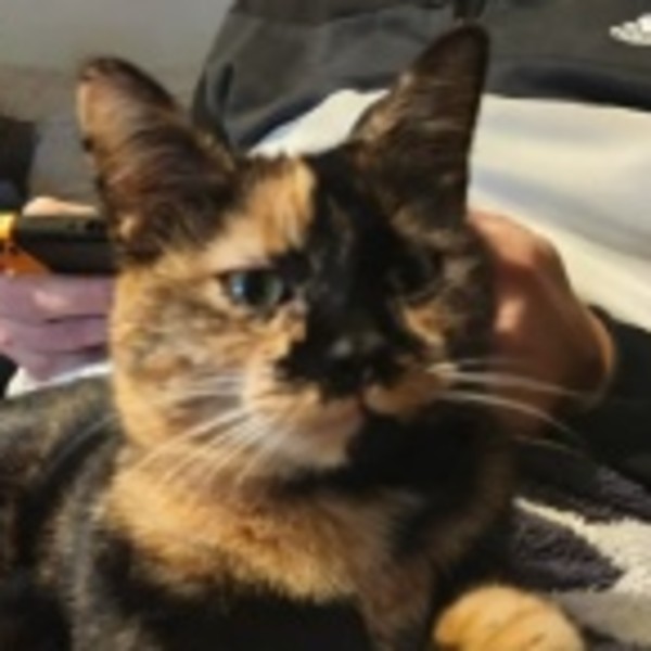 Zaniah
