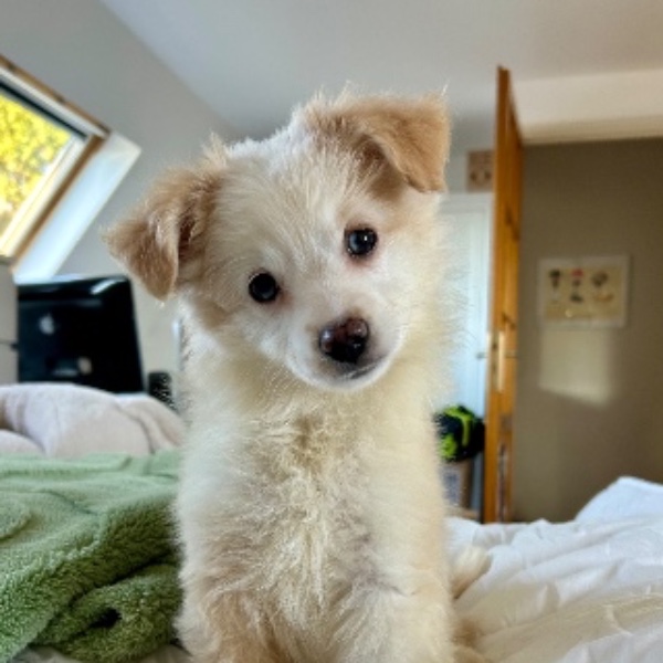 Maya 🌟