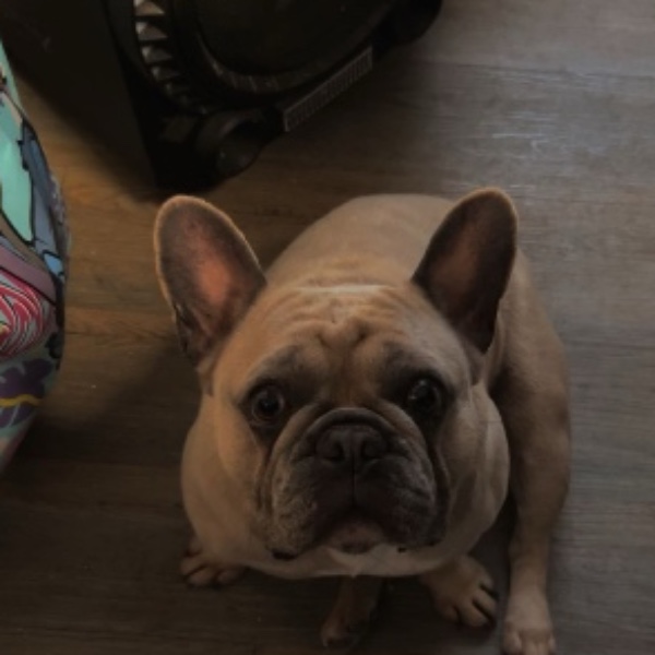 Roméo
