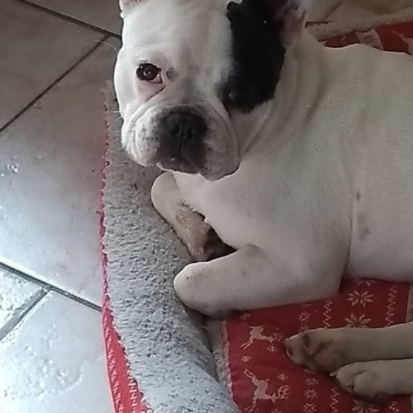 MOY