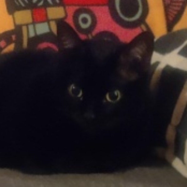 Ninette