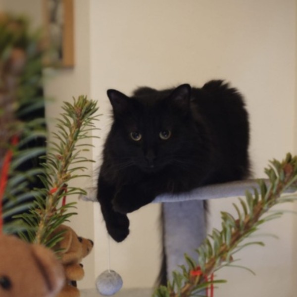 Eros
