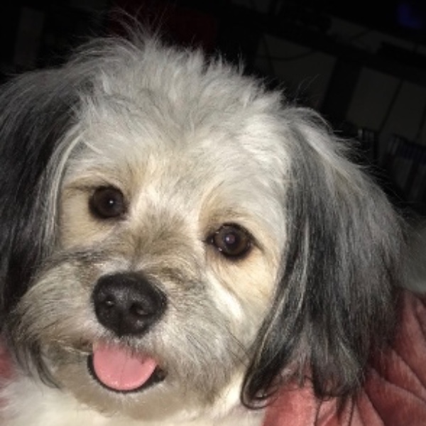 Nala
